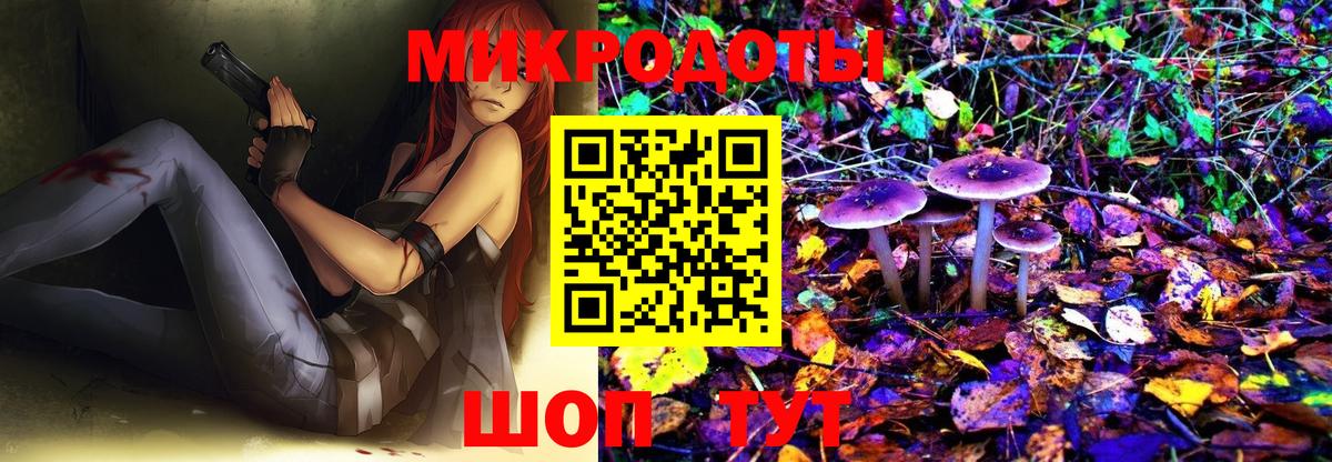 Псилоцибиновые грибы Cubensis Тихвин