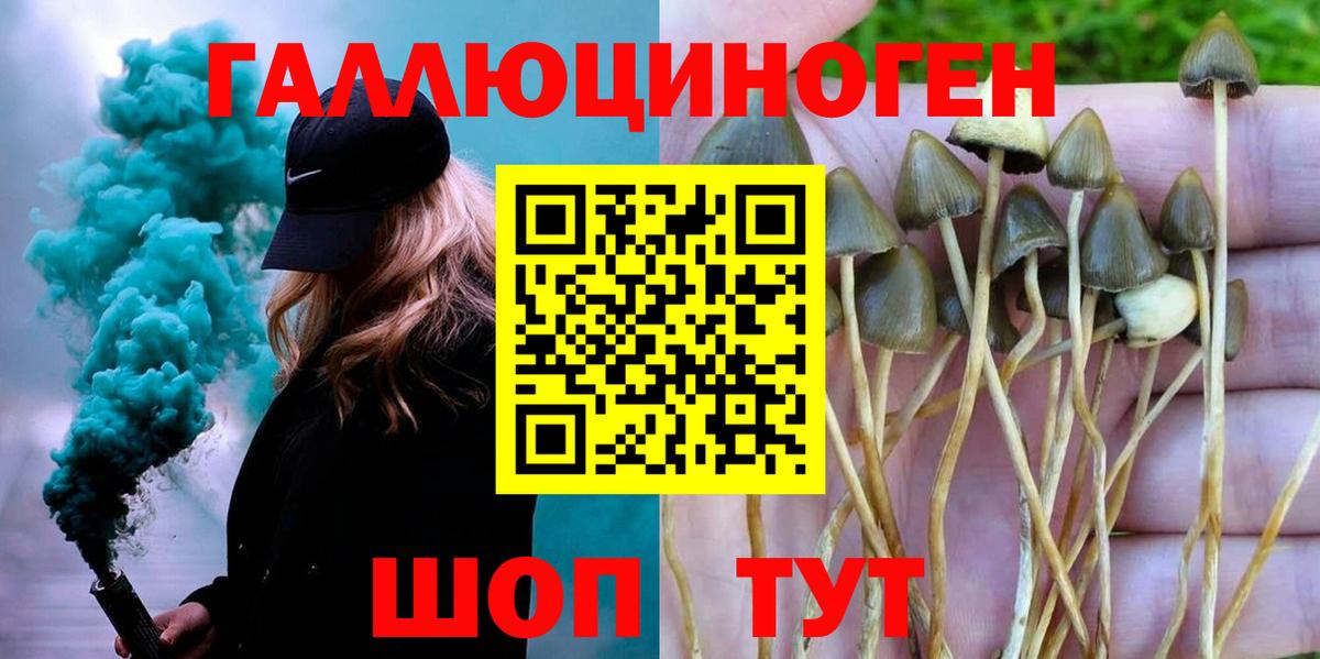 Галлюциногенные грибы Magic Shrooms  Вход с VPN  Галлюциногенные грибы MAGIC MUSHROOMS  Тихвин 